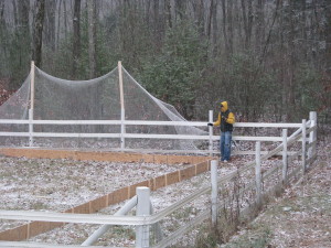 Get Your Rink Pictures Into Our Book!